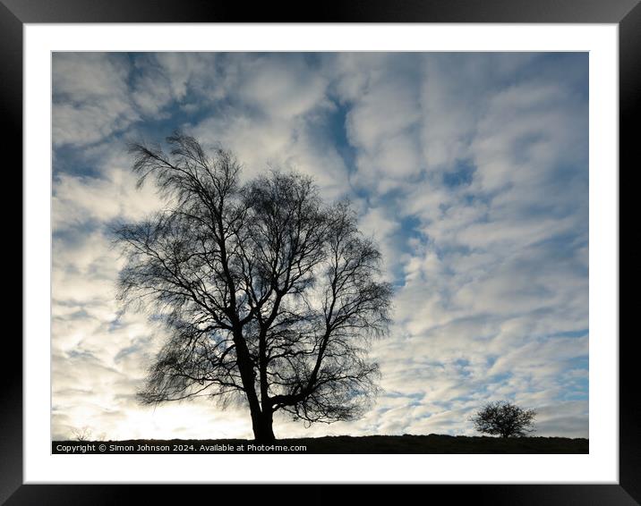 Two tree Silhouettes  Framed Mounted Print by Simon Johnson