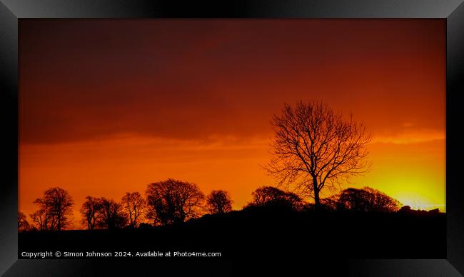 A tree in front of a sunset Framed Print by Simon Johnson