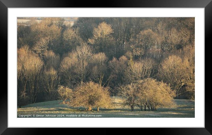 Sunlit trees Framed Mounted Print by Simon Johnson
