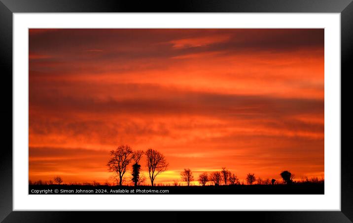 Tree silhouettes at sunrise  Framed Mounted Print by Simon Johnson