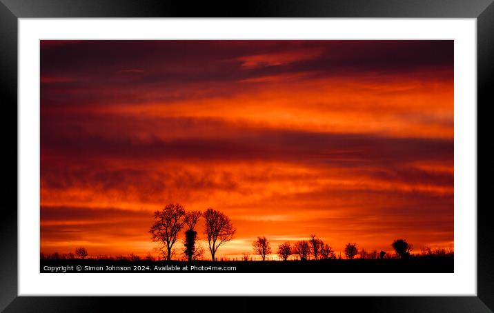 Tree silhouettes at sunrise  Framed Mounted Print by Simon Johnson
