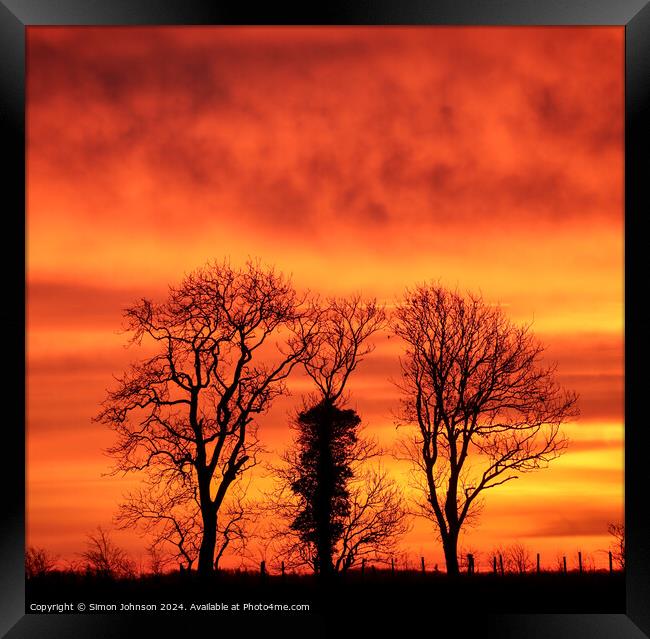 Tree silhouette at sunrise  Framed Print by Simon Johnson