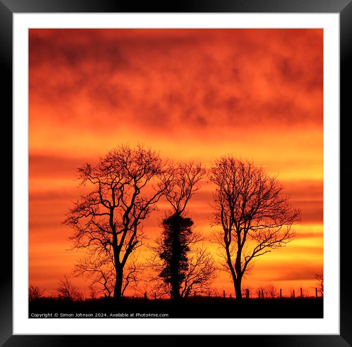Tree silhouette at sunrise  Framed Mounted Print by Simon Johnson
