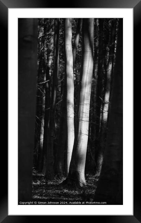 sunlit trees Framed Mounted Print by Simon Johnson