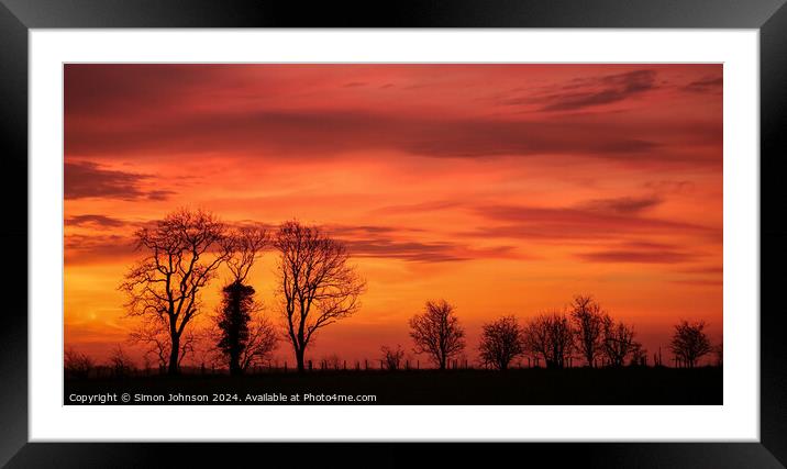 Tree silhouettes  Framed Mounted Print by Simon Johnson