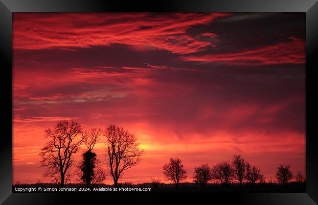 Tree silhouette at sunrise  Framed Print by Simon Johnson