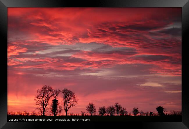 Tree silhouettes at sunrise  Framed Print by Simon Johnson