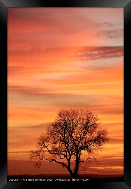 Cotswold sunset and tree silhouette   Framed Print by Simon Johnson