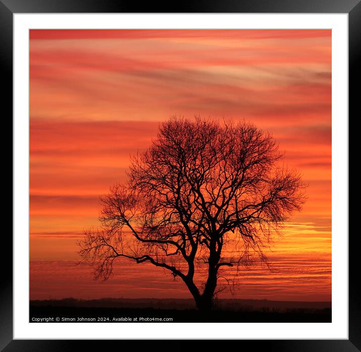 Tree silhouette sunset Framed Mounted Print by Simon Johnson