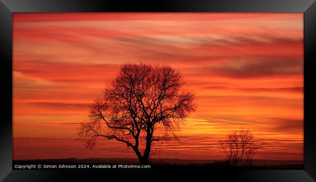 tree silhouette  at sunset Framed Print by Simon Johnson