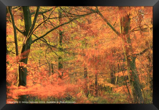  Autumn woodland breeze Framed Print by Simon Johnson