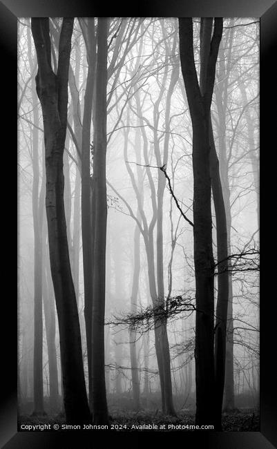 woodland mist Framed Print by Simon Johnson