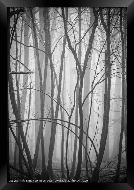 Woodland form pattern and texture Framed Print by Simon Johnson