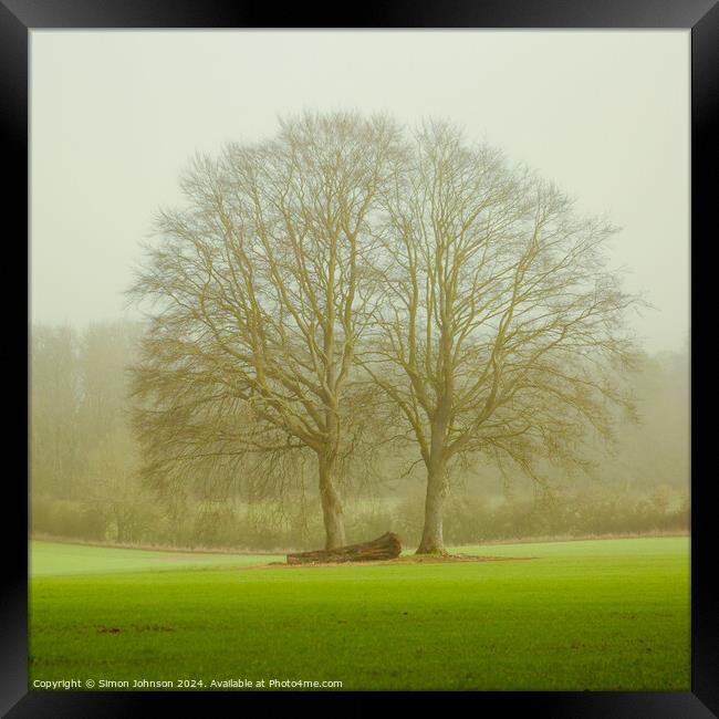 soft light and trees Framed Print by Simon Johnson