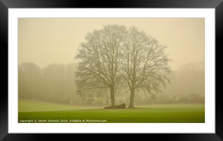 trees soft light Framed Mounted Print by Simon Johnson