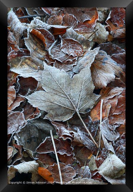 Frosted leaves Framed Print by Simon Johnson