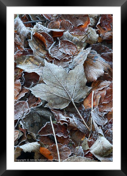 Frosted leaves Framed Mounted Print by Simon Johnson