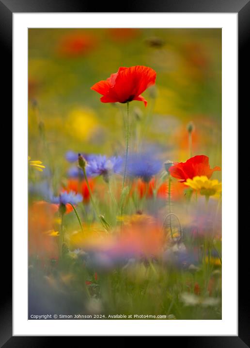  Poppy and meadow fowers Framed Mounted Print by Simon Johnson
