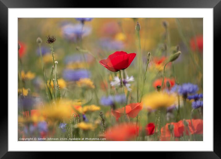 Poppies and wild flowers Framed Mounted Print by Simon Johnson