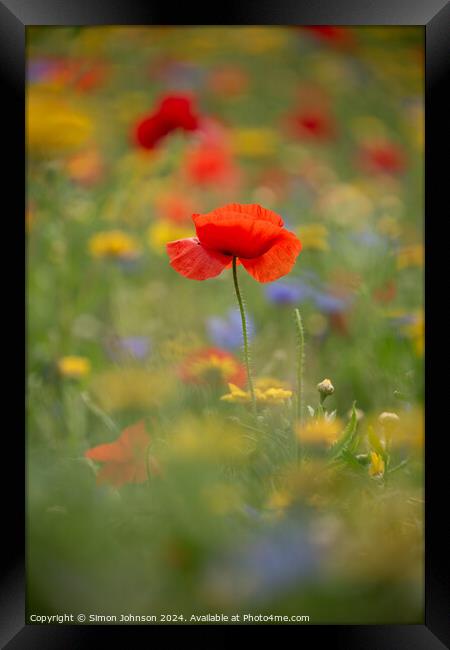A close up of a Poppy flower Framed Print by Simon Johnson