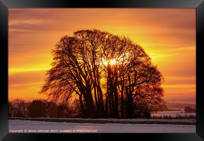  trres at sunrise Framed Print by Simon Johnson