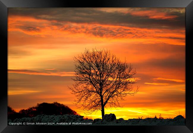  Tree silhouette at sunrise Framed Print by Simon Johnson