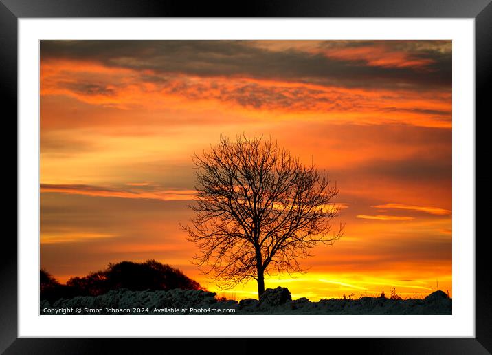  Tree silhouette at sunrise Framed Mounted Print by Simon Johnson