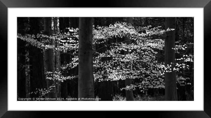 sunlit leaves in monochrome  Framed Mounted Print by Simon Johnson