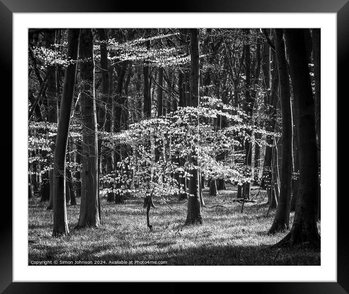 sunlit woodland in monochrome Framed Mounted Print by Simon Johnson