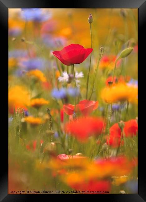 Poppies and wild flowers Framed Print by Simon Johnson