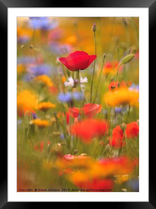 Poppies and wild flowers Framed Mounted Print by Simon Johnson