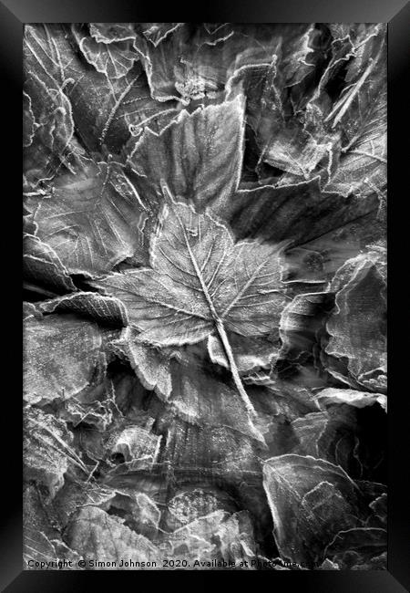 Frosted leaf Collage with artistic blur Framed Print by Simon Johnson