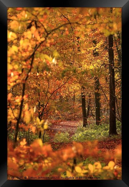 Path through the ASutumn Woods Cotswolds Framed Print by Simon Johnson