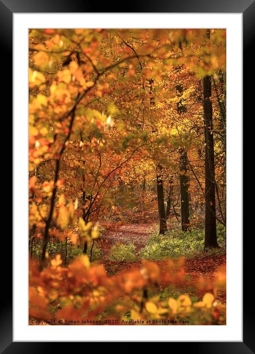 Path through the ASutumn Woods Cotswolds Framed Mounted Print by Simon Johnson