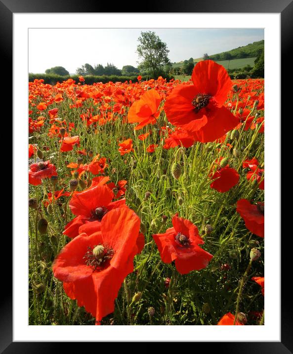 Cotswold Poppies Snowshill  Framed Mounted Print by Simon Johnson