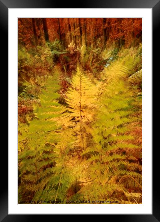 Autumn Woodland  Framed Mounted Print by Simon Johnson