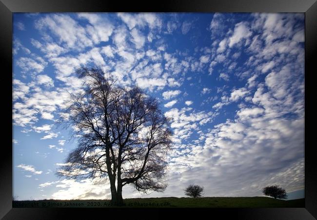 Three trees against a dramatic sky Framed Print by Simon Johnson