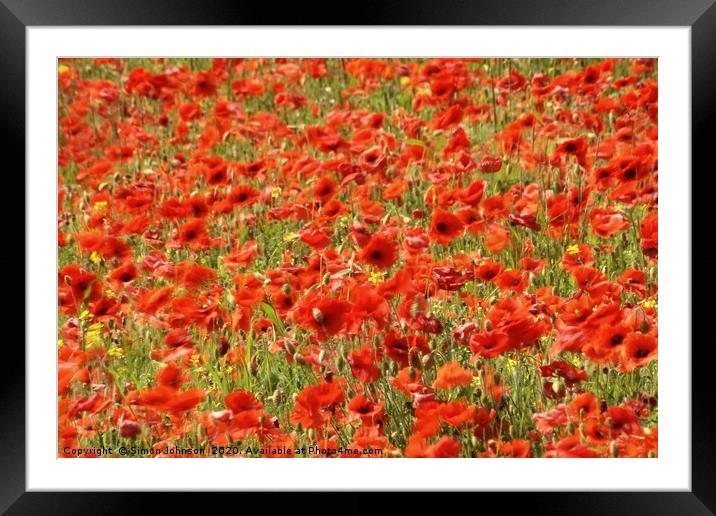 Wind blown Poppies.   Framed Mounted Print by Simon Johnson