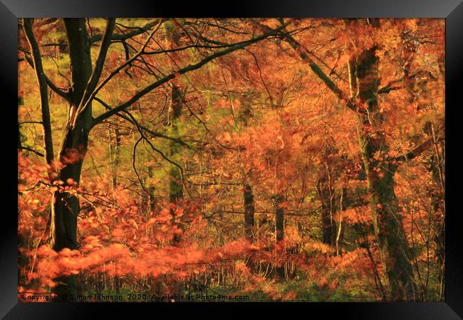 Autumn Wood and wind Framed Print by Simon Johnson