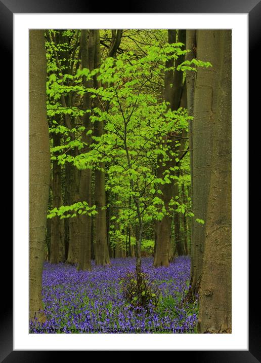  Green Tree and Bluebell Wood Framed Mounted Print by Simon Johnson