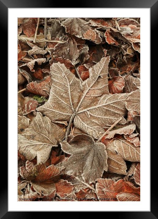 Frosted Leaf Framed Mounted Print by Simon Johnson