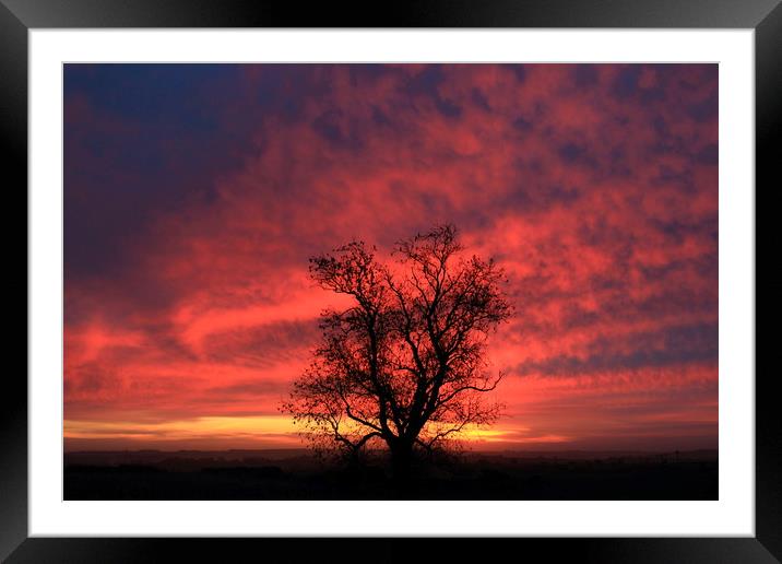 Dramatic Cotswold  Sunrise Framed Mounted Print by Simon Johnson