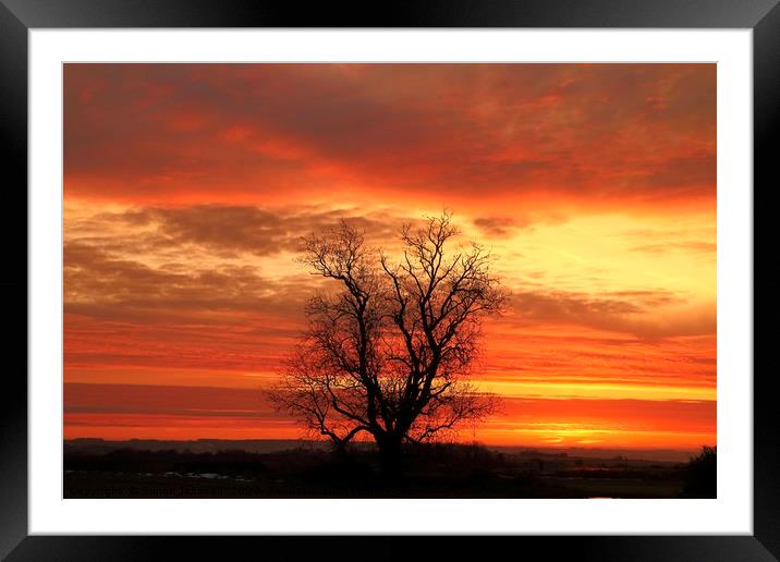 Cotswold sunrise Framed Mounted Print by Simon Johnson