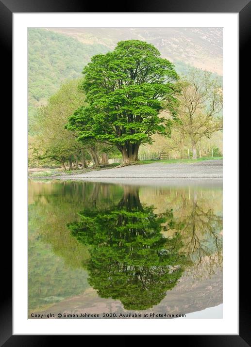 Tree reflections Buttermere Framed Mounted Print by Simon Johnson