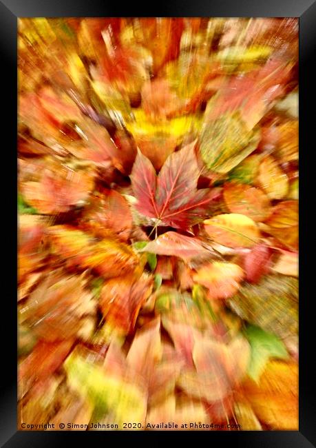 Autumn leaf Collage  Framed Print by Simon Johnson