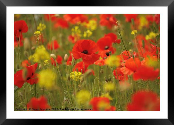 Poppies Framed Mounted Print by Simon Johnson