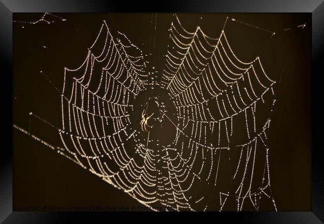 Spider, cobweb with dew Framed Print by Simon Johnson