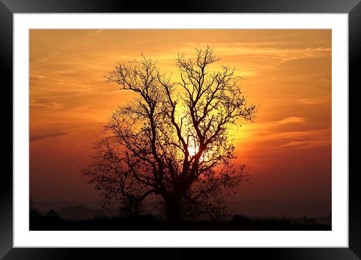 Cotswold sunrise Framed Mounted Print by Simon Johnson