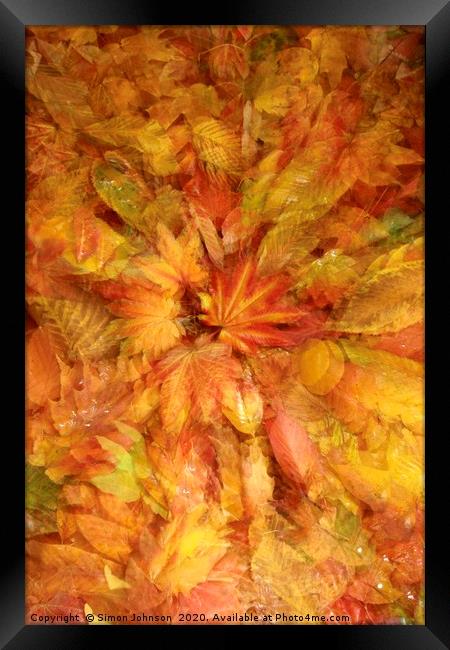 Autumn Leaf Collage Framed Print by Simon Johnson