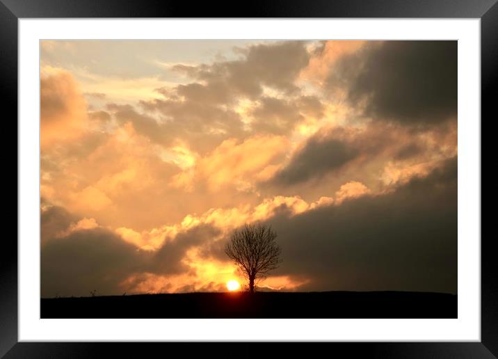 isolated tree sunset Framed Mounted Print by Simon Johnson